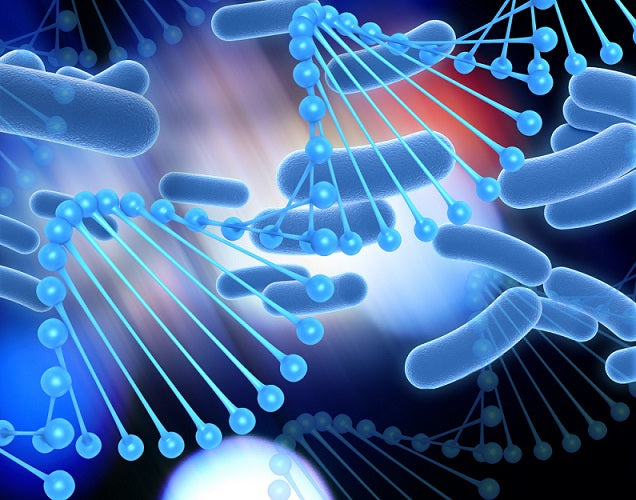 Rethinking the Future with Stem Cells