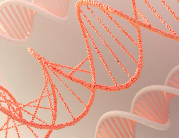 Antiviral Protein in Feminine Progenitor Cells