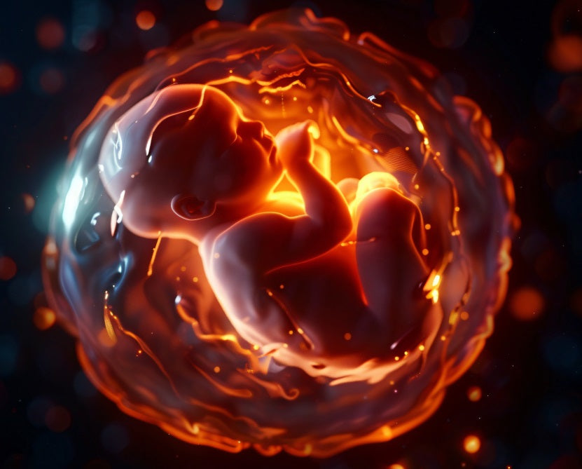 The Wonders of Umbilical Cord Blood Transplants