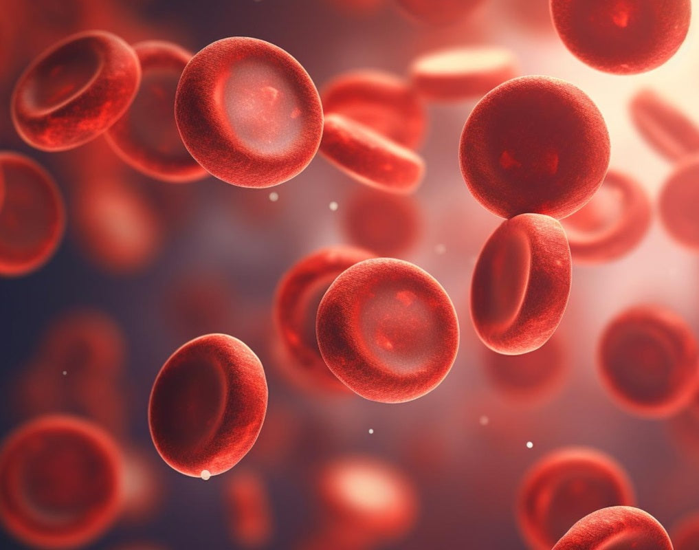 The Troublemaker Platelets: Aging, Blood Clotting and Disease