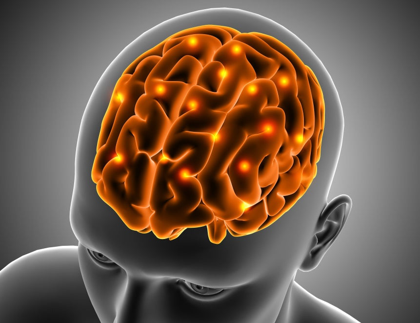 Halting and Reversing Alzheimer's Early On