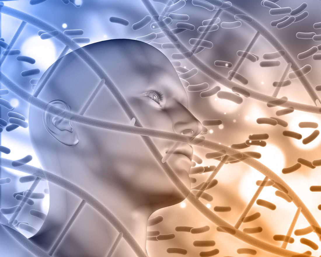 Unlocking the Potential of Cord Blood Regenerative Stem Cells Moonspells Beauty