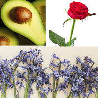Nature's Beauty Elixir - Avocado Lavender and Rose Stem Oil