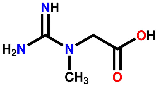 Creatine An Overlooked Supplement for Cognitive Health and Healthy Aging