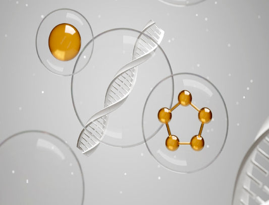 Key Discoveries in Stem Cell Survival
