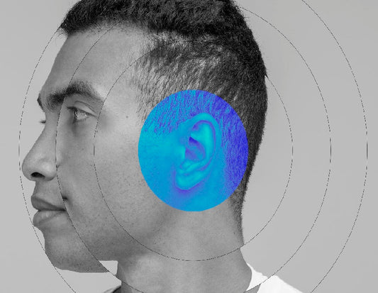 Understanding the Formation of the Brain and Inner Ear
