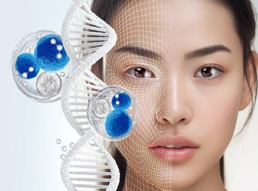 Stem Cells in Immune Regulation and Beauty Applications