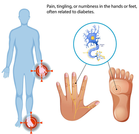 Autologous Bone Marrow-Derived Stem Cell Therapy in Motor Neuron Disease