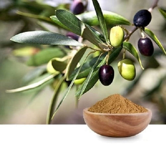 Olive Leaf Extract Moonspells Beauty