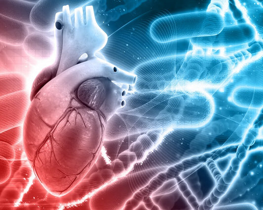 Stem Cells in Cardiovascular Research