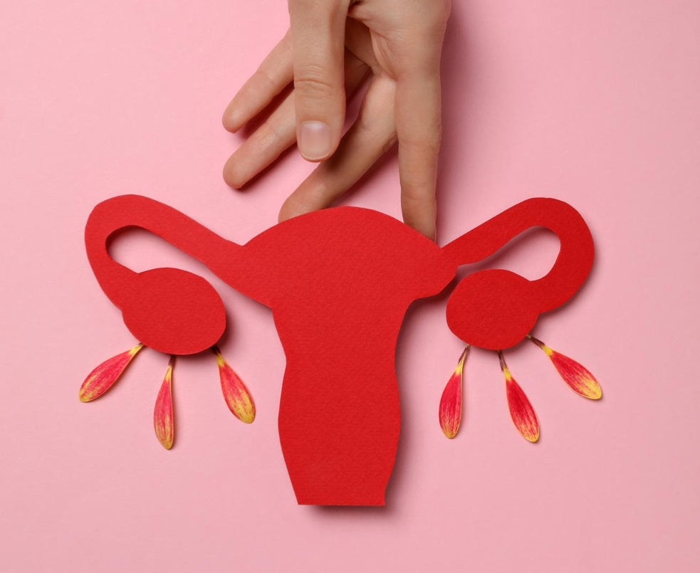 Stem Cells, A Beacon of Hope for Endometriosis Treatment