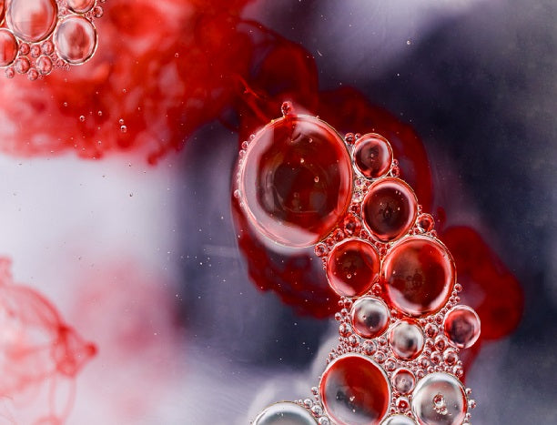 Discovering Blood Stem Cell Self-Renewal in Regenerative Medicine