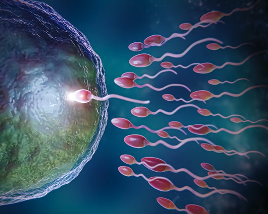 Stem Cells Transforming Infertility Treatment