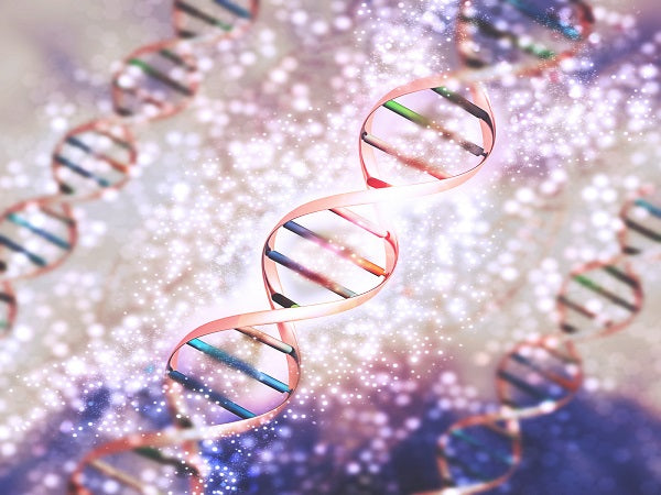 Decoding DNA Replication in Pluripotent Stem Cells
