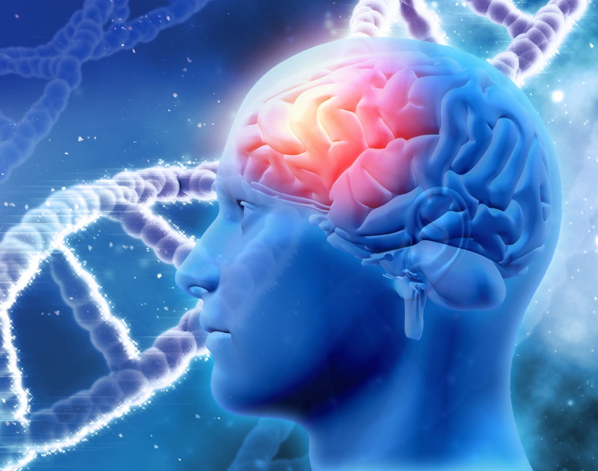 Neurogenesis Targeting, Treating Parkinson's Disease with Stem Cells