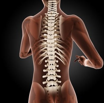 Growing the Body's 'GPS System' in a Lab