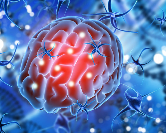 Illuminating the Process of Stem Cell Aging in the Brain