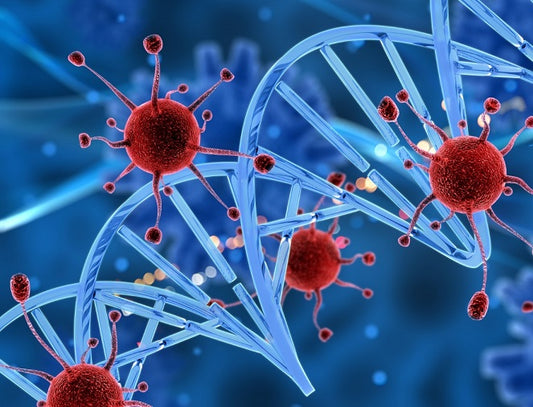 Breakthrough in Preventing Cancer with Innovative Cells