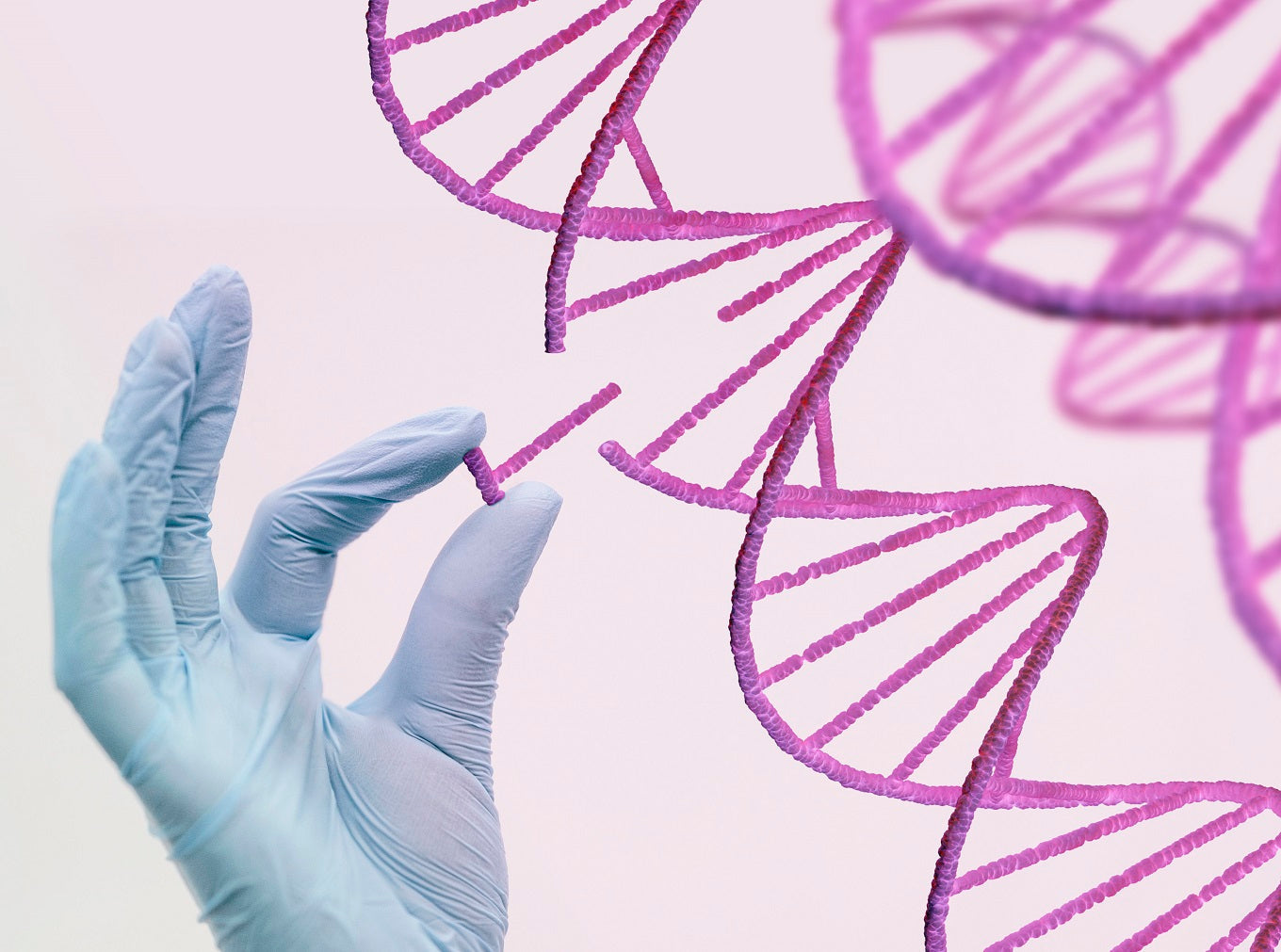 DNA Repair Technology in Anti-Aging Moonspells Beauty