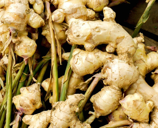 Ginger A Versatile Root with Numerous Health Benefits Moonspells Beauty