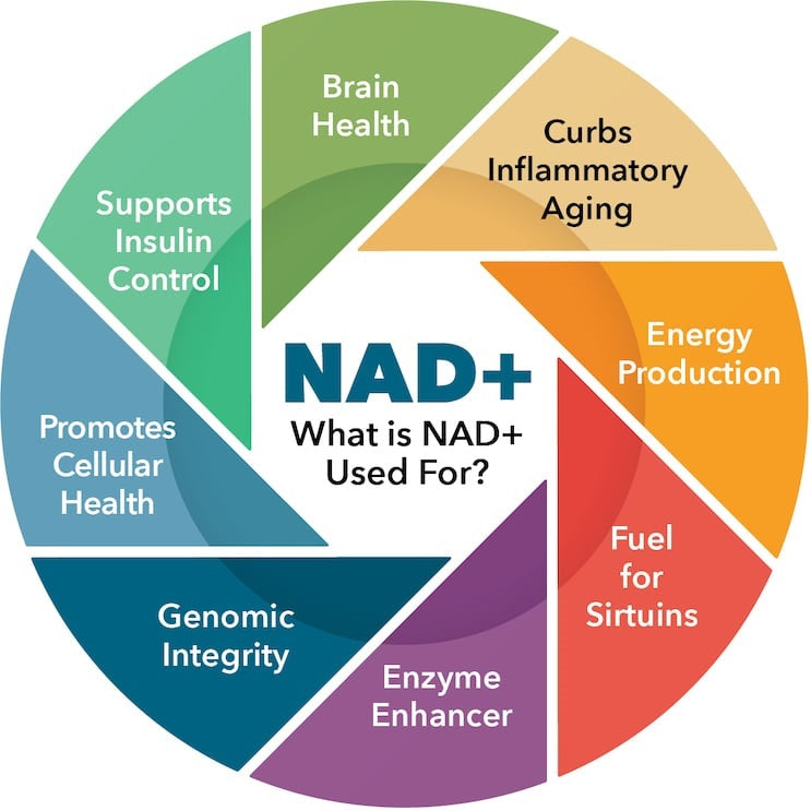 NAD+ for Health and Longevity