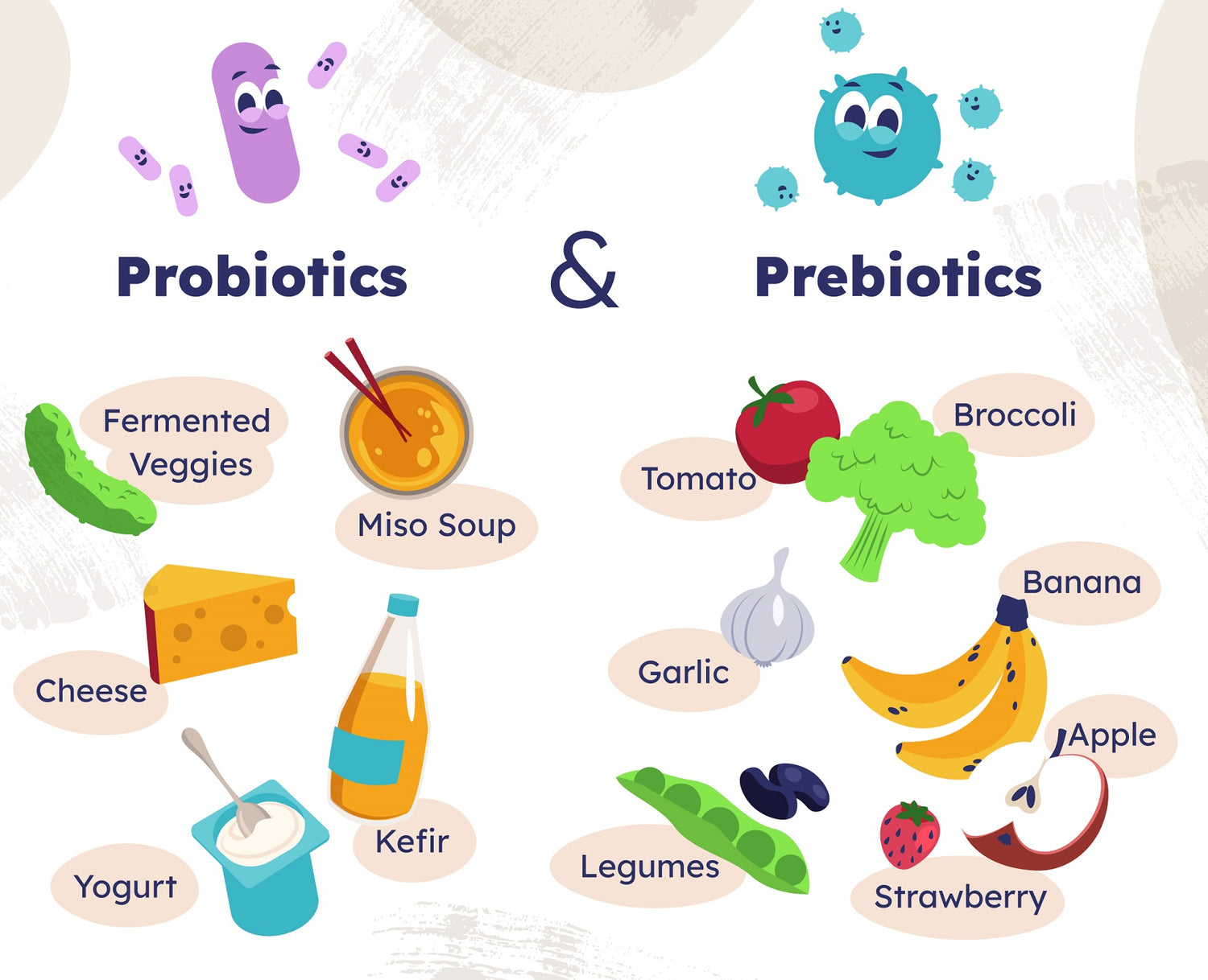 Power of PREBIOTICS and Understanding the Difference from PROBIOTICS ...