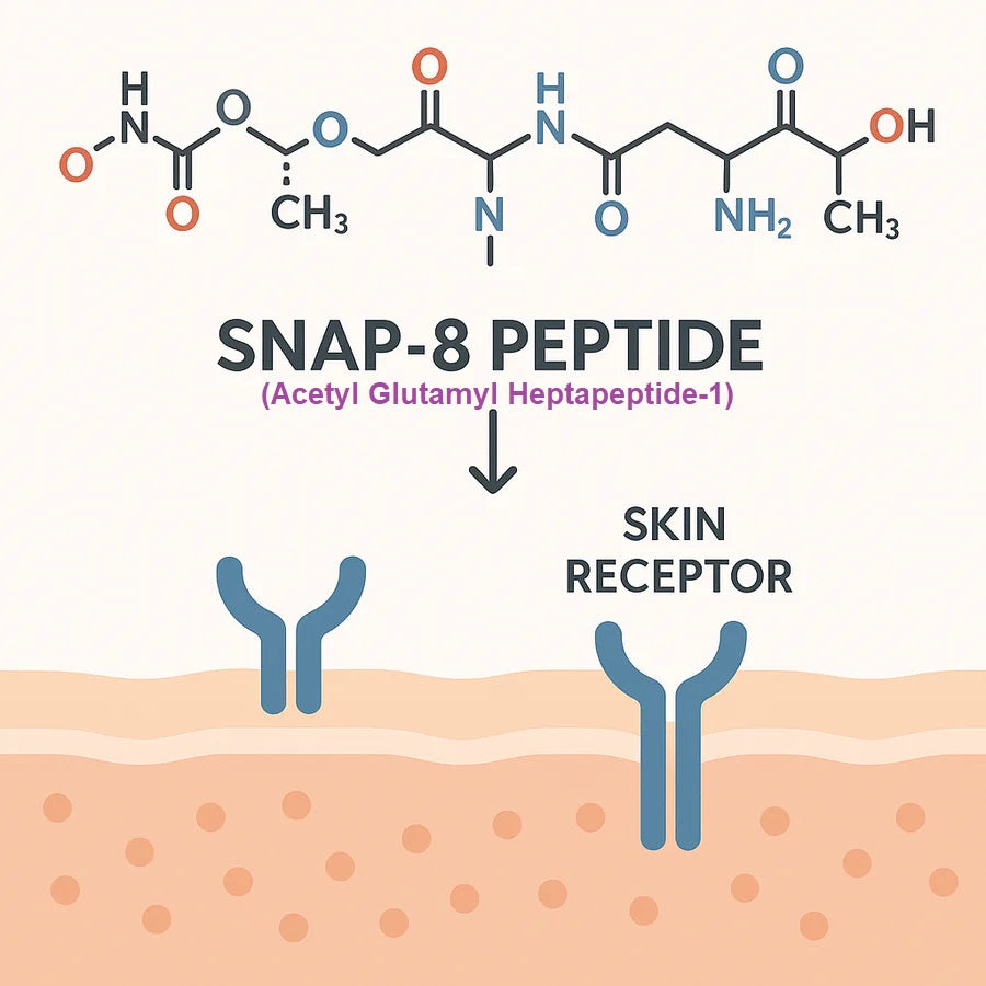 Unveiling the Power of SNAP8 Peptide for Youthful Skin