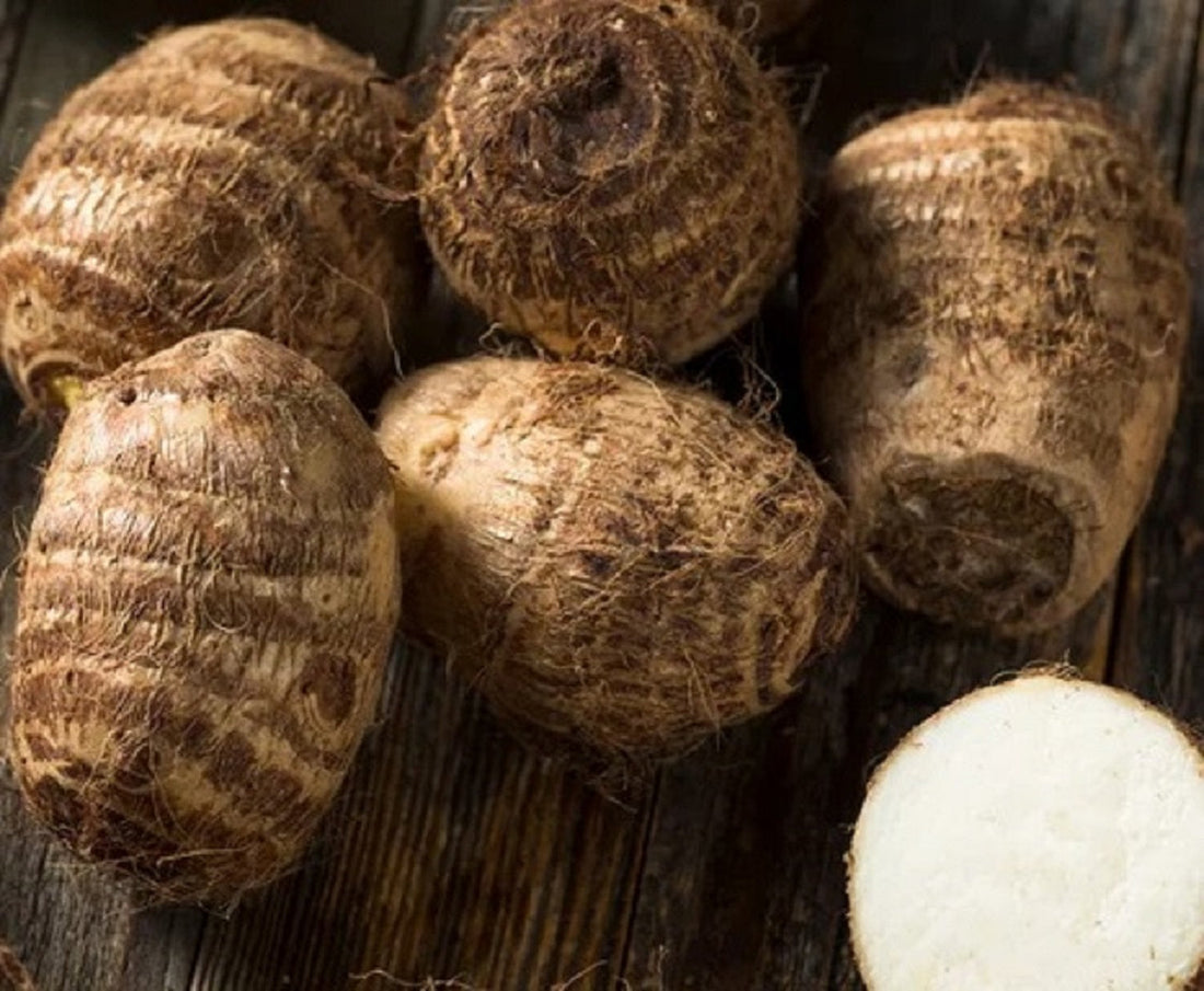 The Wonders of Colocasia (Taro) Root Moonspells Beauty