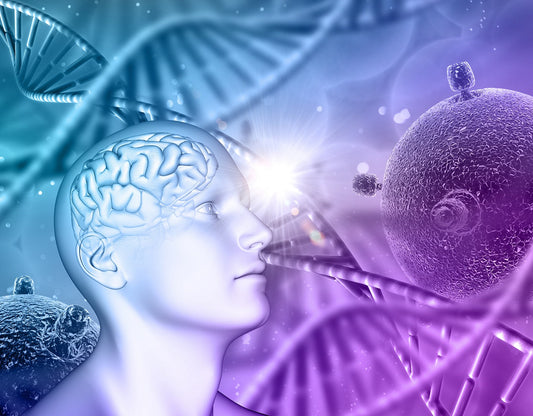 Unveiling the Health Benefits of Stem Cell Biology as Applied to the Brain Moonspells Beauty