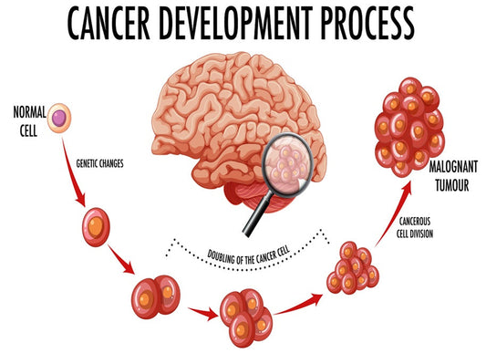 Groundbreaking Research Halts Childhood Brain Tumors