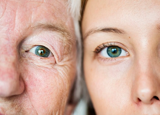 The Role of AP2A1 in Reversing Aging