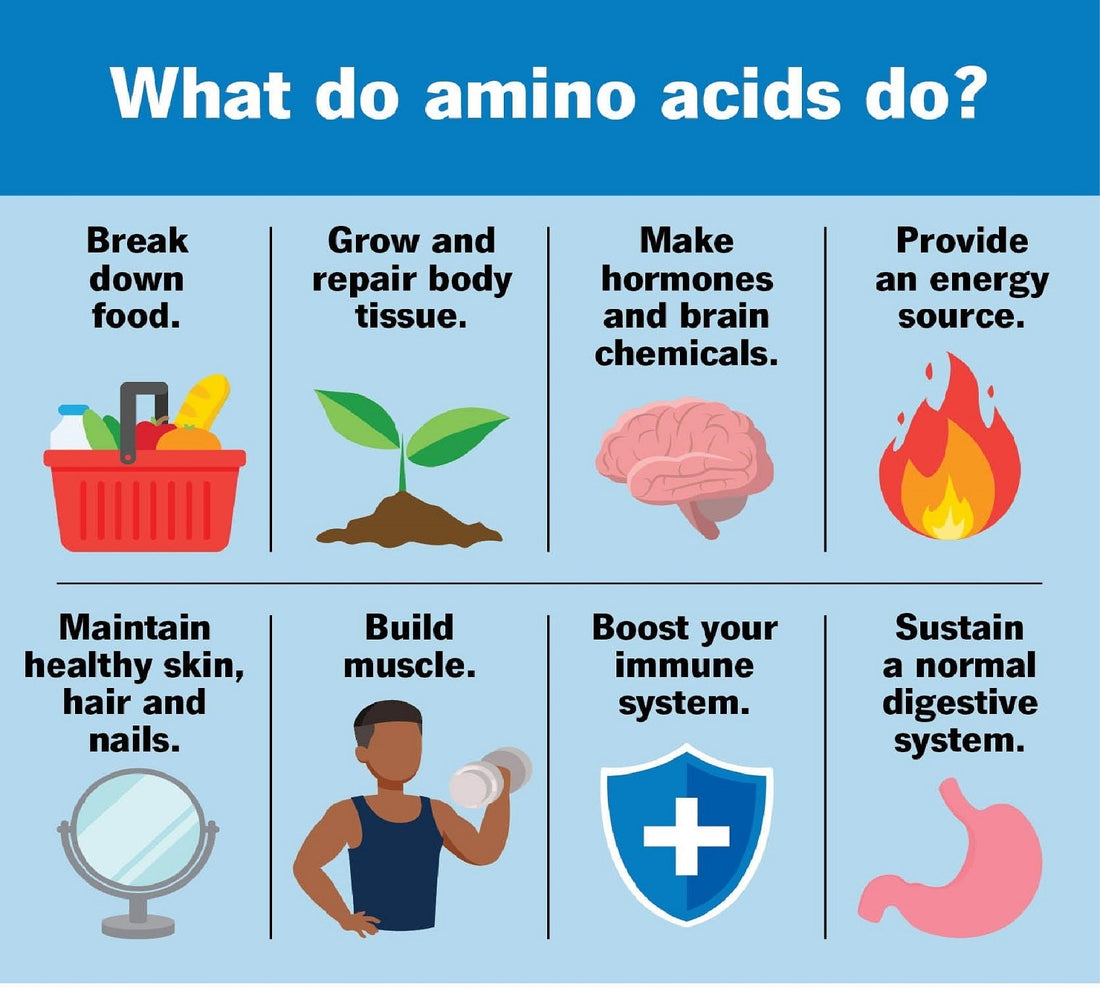 Unlocking the Future of Wellness with Amino Acids