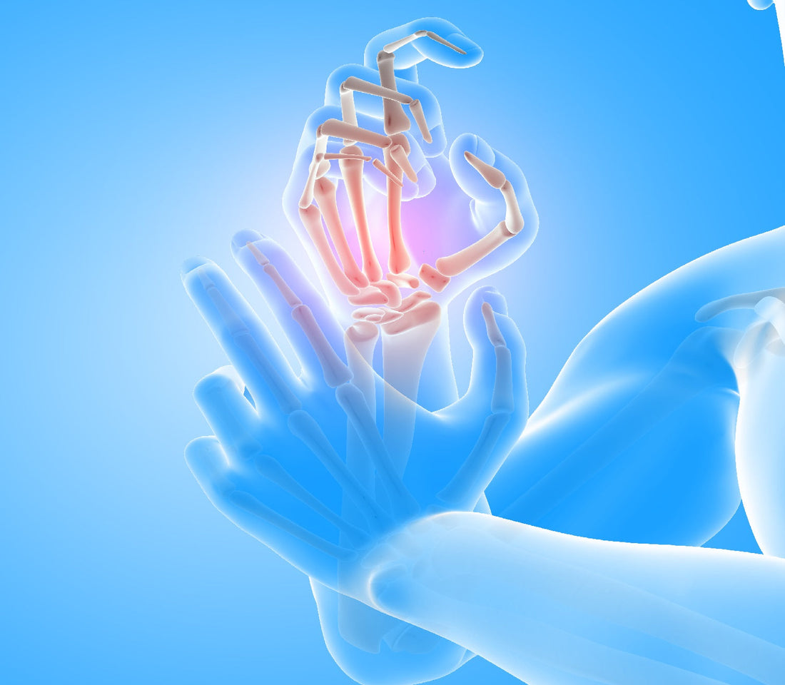 Regrowing Cartilage and Combatting Arthritis