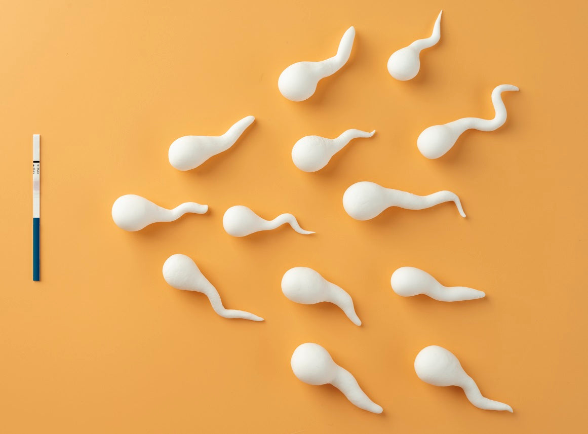 Azoospermia and Stem Cell Treatment