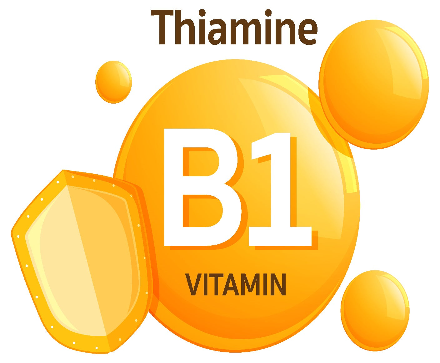 The Surprising Impact of Vitamin B1 on Gut Health