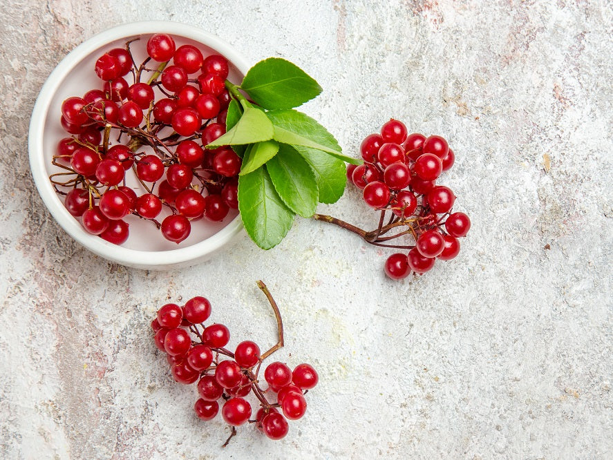 Hawthorn Berry – A Comprehensive Review of its Medicinal and Beauty Benefits