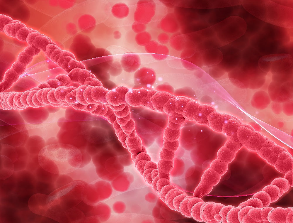 Youthful Blood Stem Cells