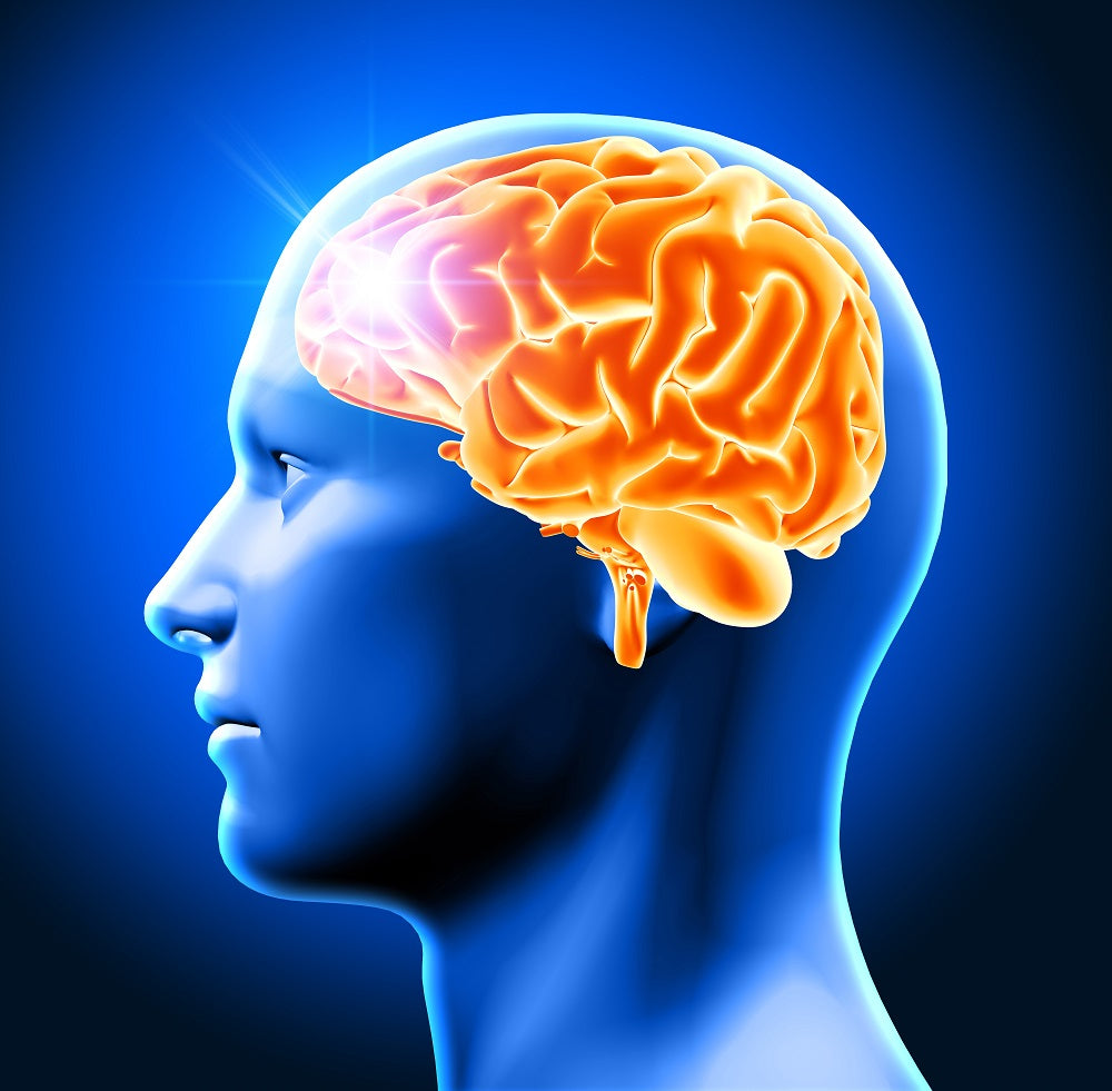 The Brain Benefits of Intermittent Fasting