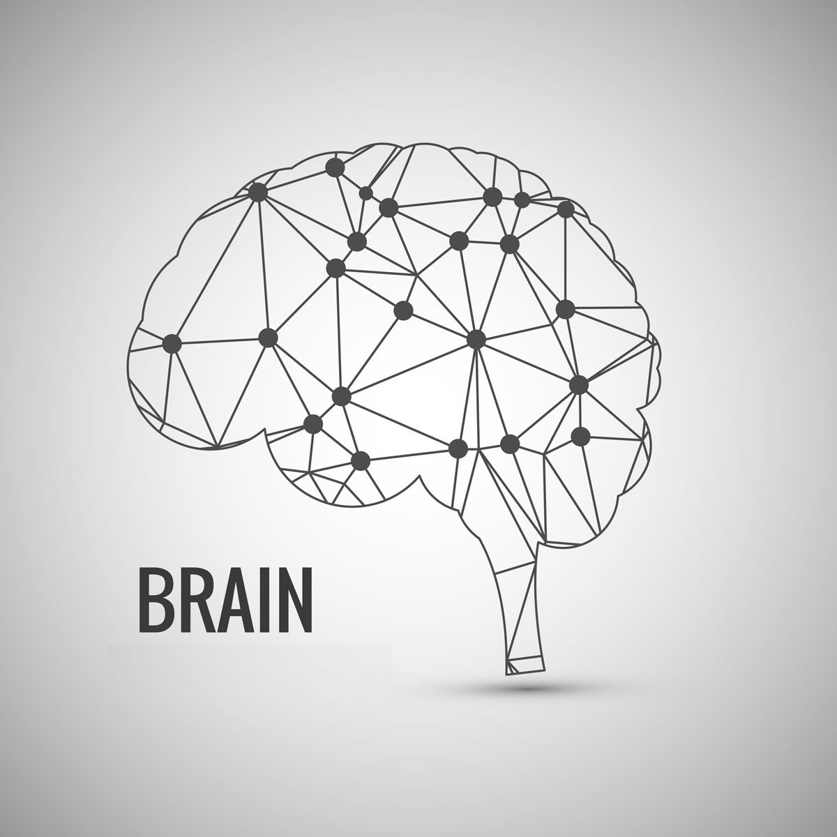 Nighttime Brain Flush