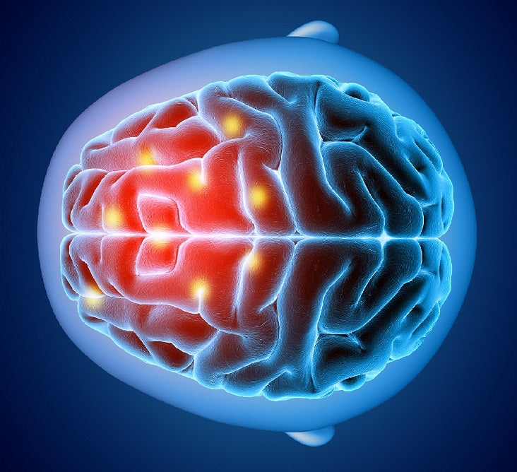 The Role of Sugar Metabolism in Alzheimer's Protection