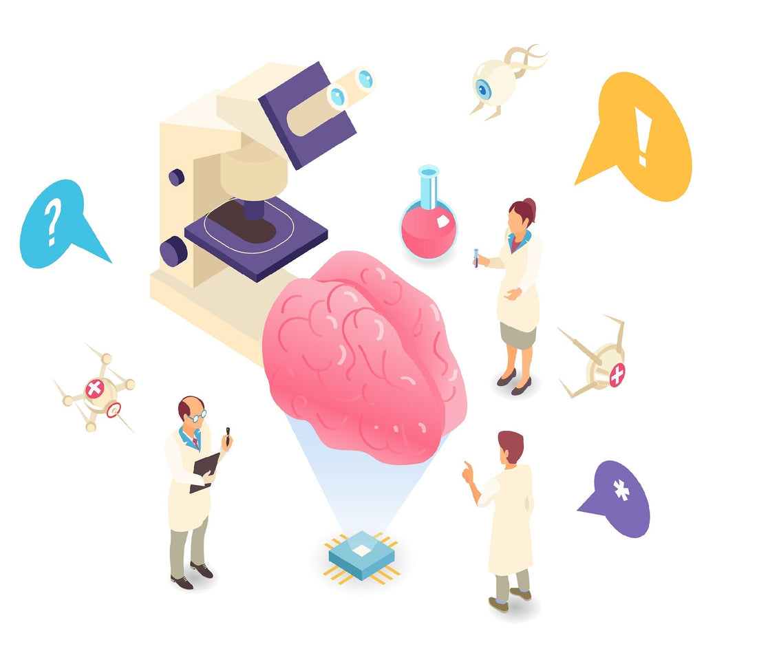 The Brain-Repair Peptide Transforming Neurological Recovery