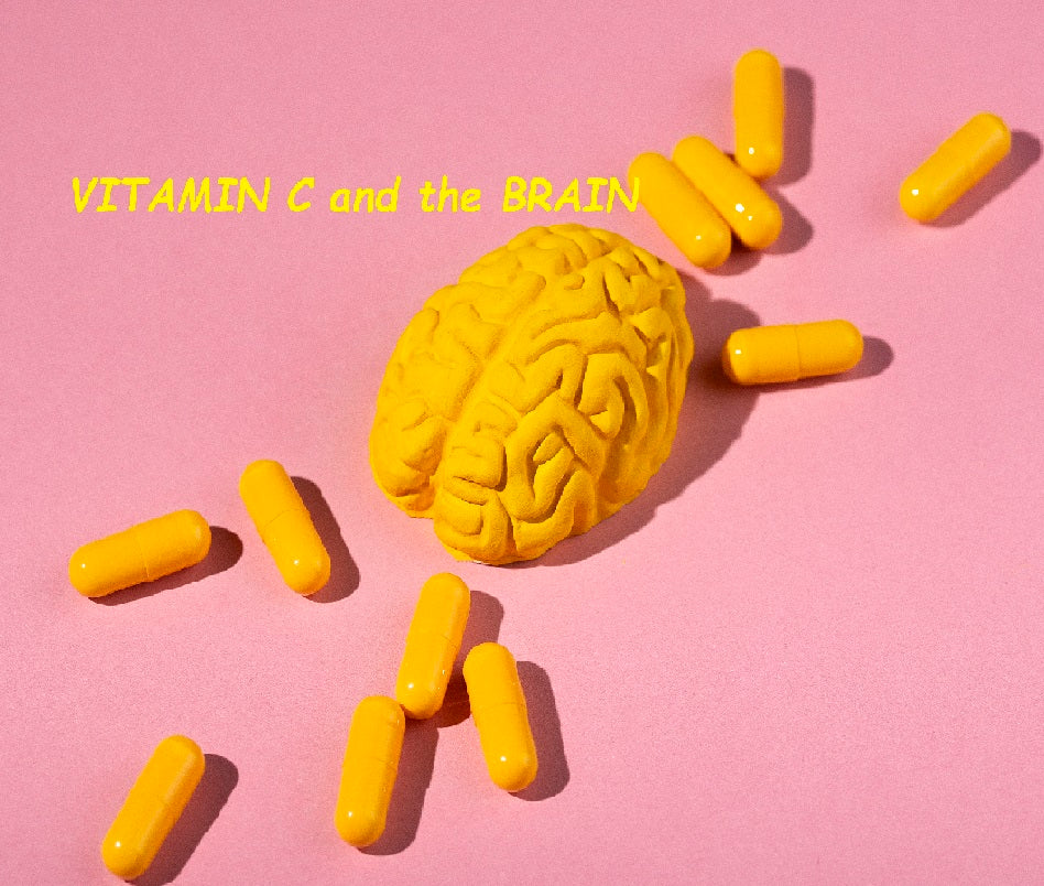 Vitamin C for Healthy Brain Aging