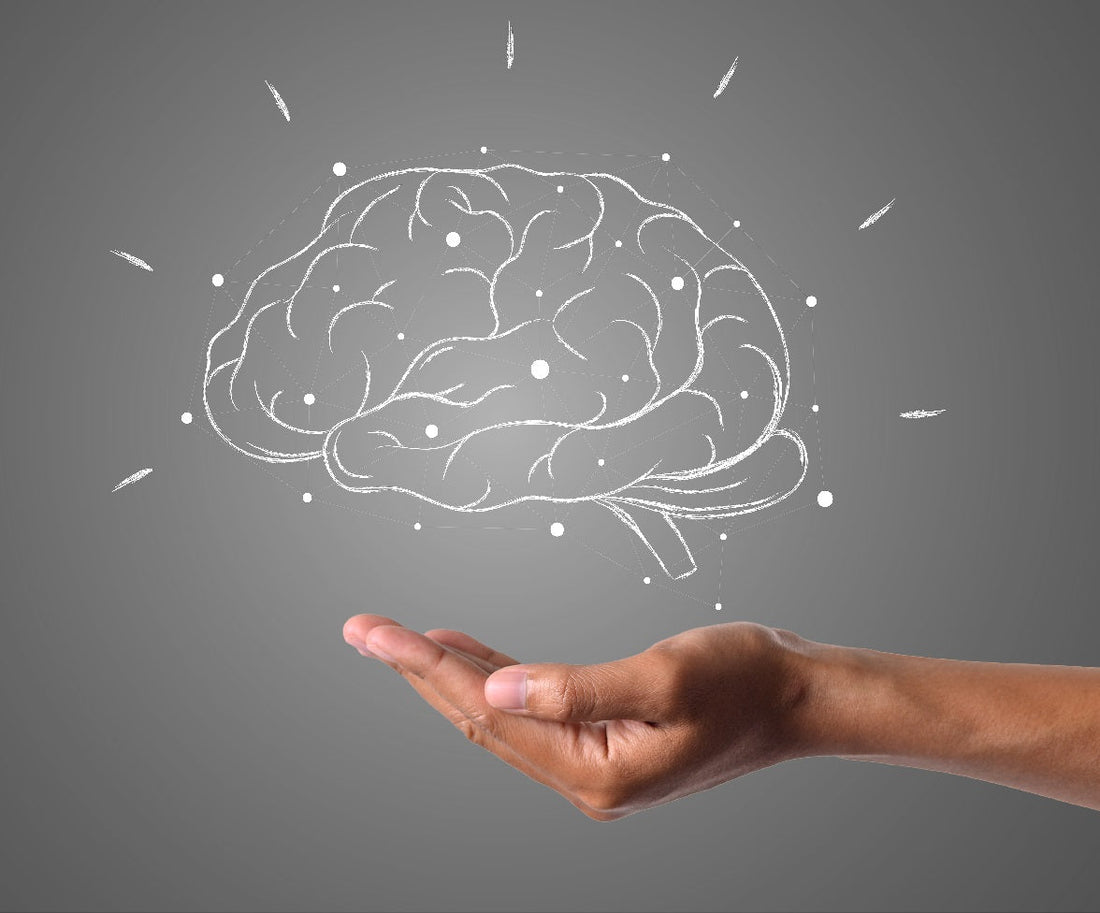 Understanding Toxoplasma Gondii and Its Impact on Brain Health