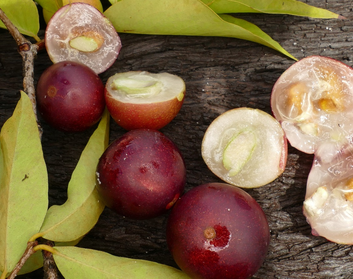 Unveiling the Magic of Camu Camu