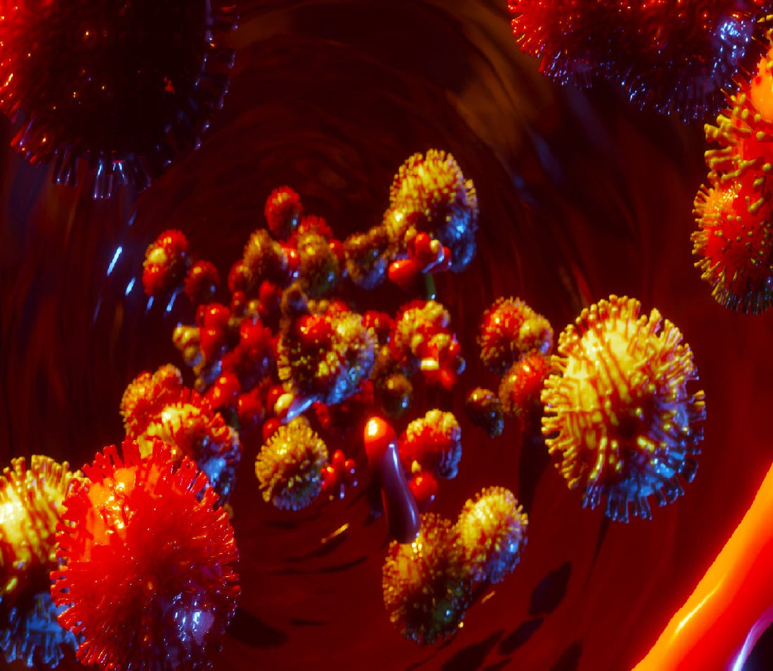 Immune Cells and the Future of Cancer Care