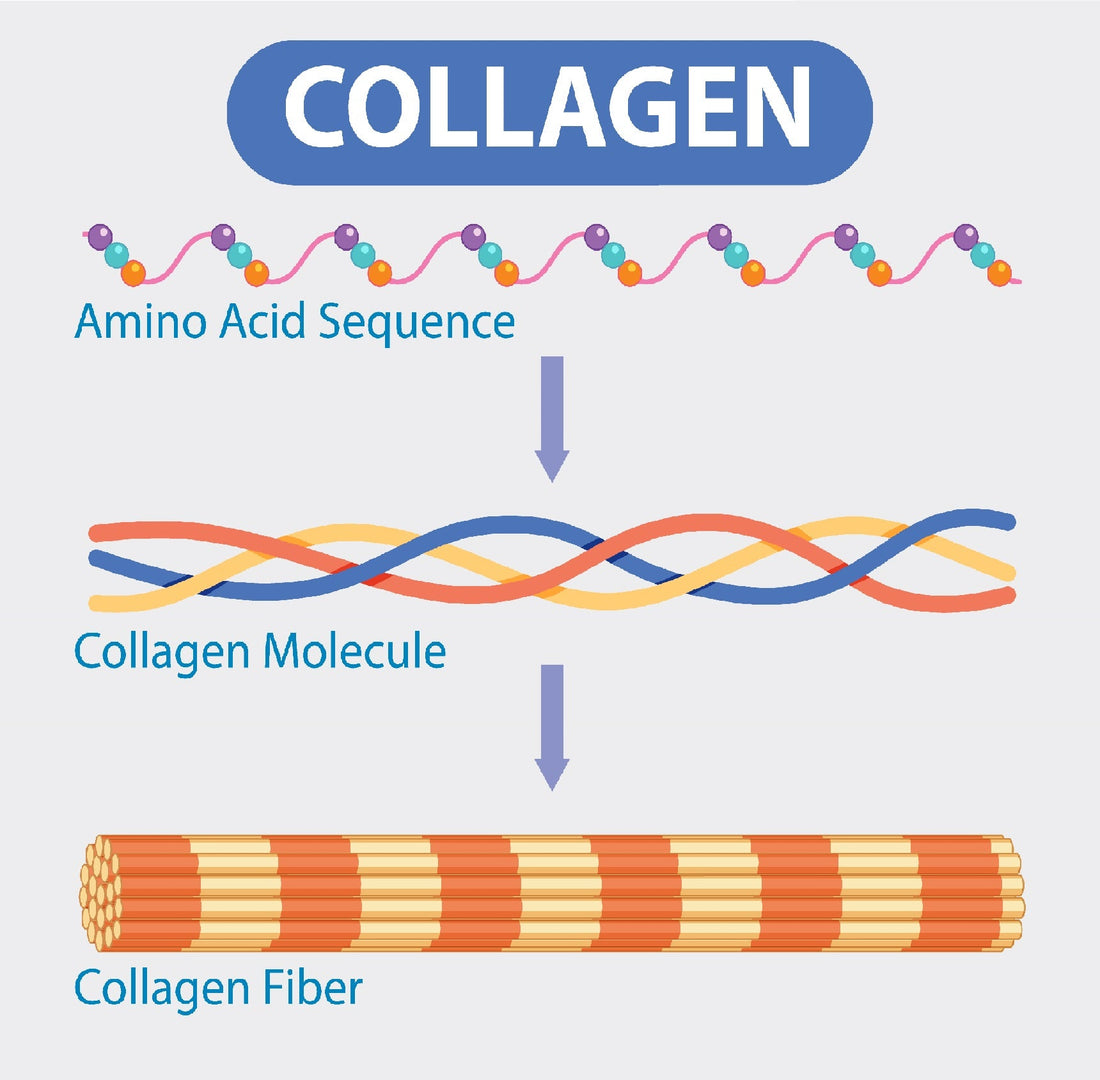 Debunking Collagen Myths for Healthy Skin