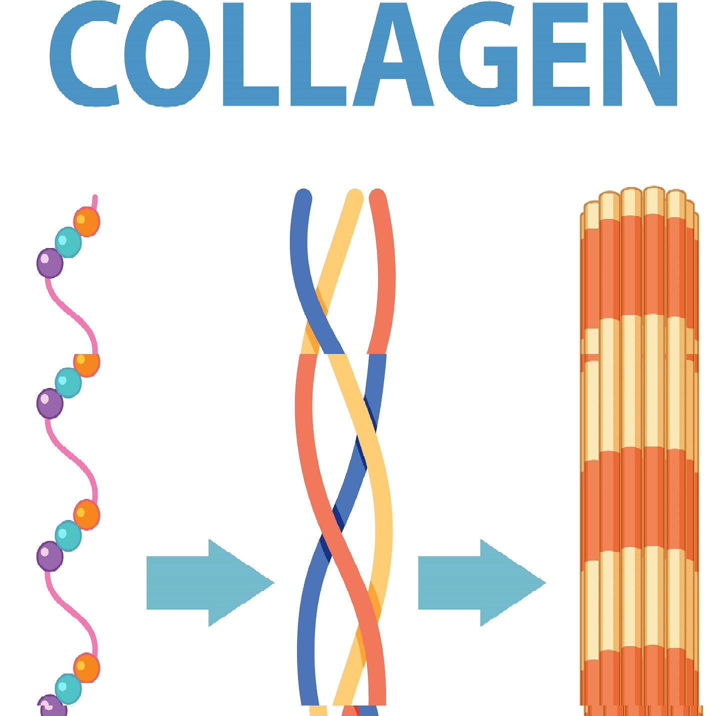 Collagen and Regenerative Wellness