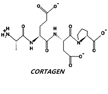 The Benefits of Cortagen in Brain Health and Aging