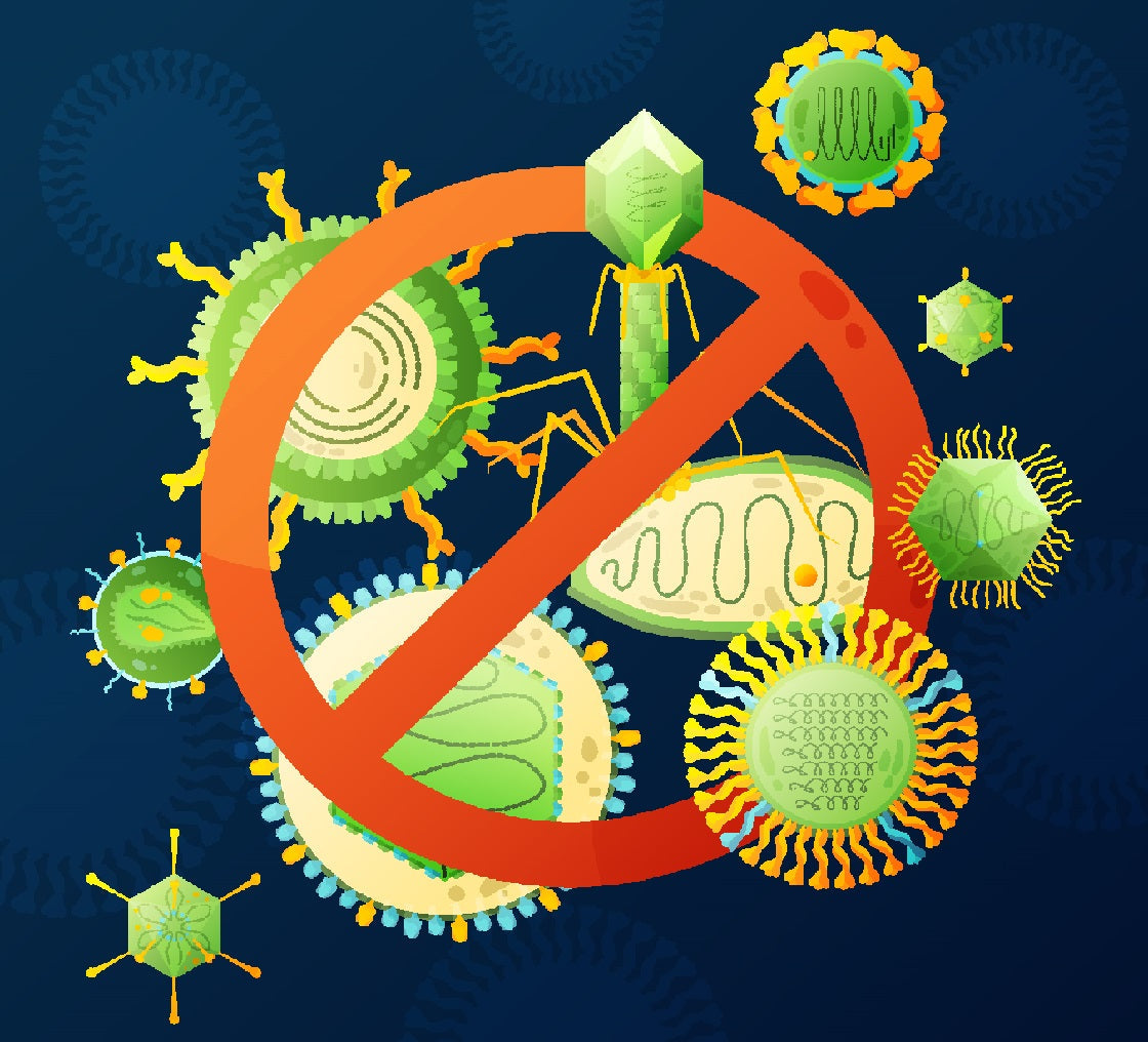 New Defenses Against Viruses