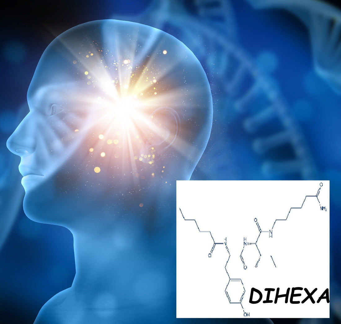Exploring the Versatile Benefits of Dihexa